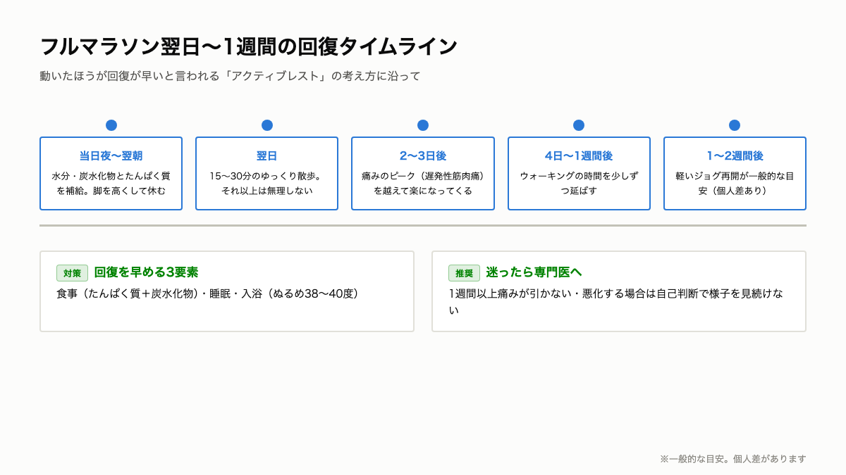 M7_回復1週間タイムライン.png