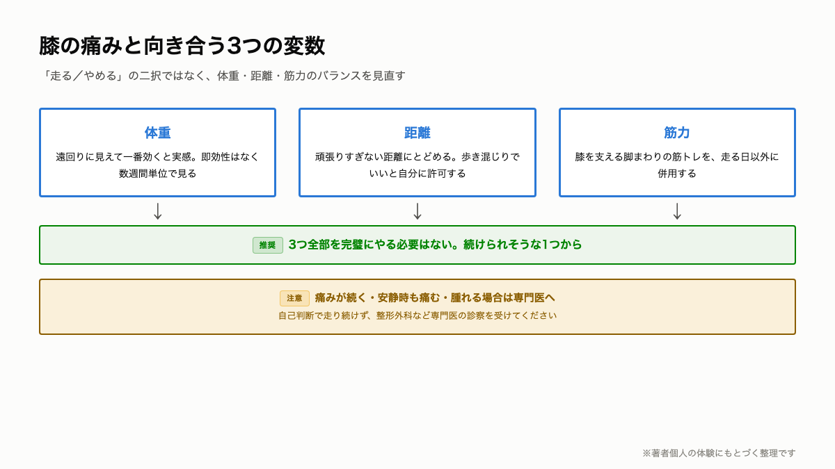 N2_体重距離筋力の3変数.png